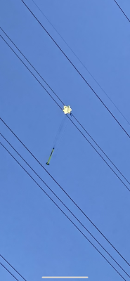 Arcas in powerlines