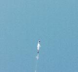 Rich DeAngelis's Black Diamond